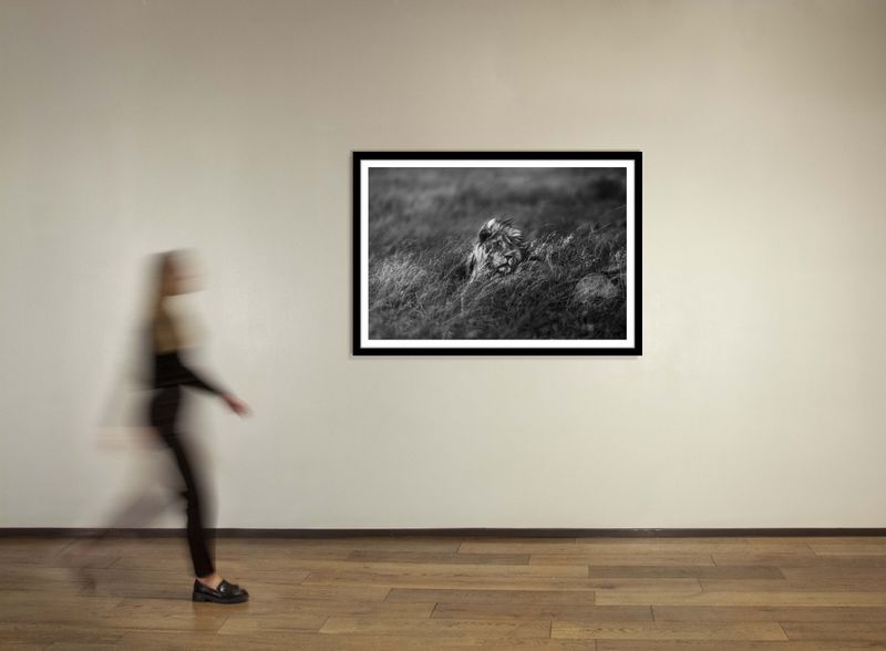 40 x 60 in., edition of 15